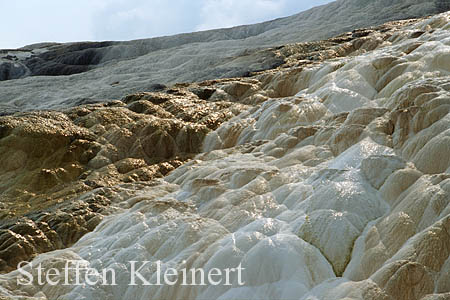 Yellowstone NP - Mammoth Hot Springs - Palette Spring 010